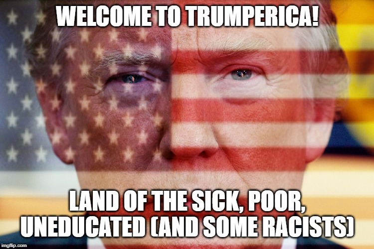 Trump Flag | WELCOME TO TRUMPERICA! LAND OF THE SICK, POOR, UNEDUCATED (AND SOME RACISTS) | image tagged in trump flag | made w/ Imgflip meme maker