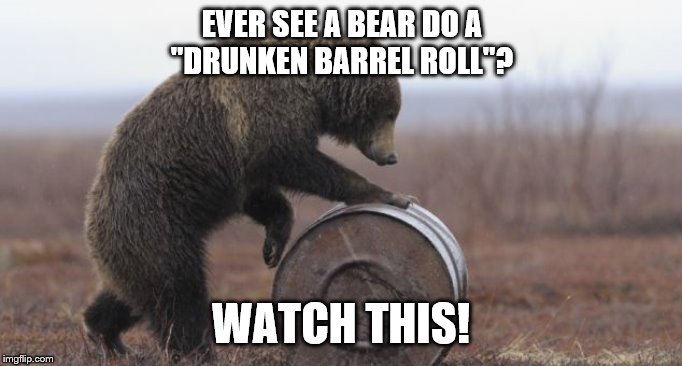 EVER SEE A BEAR DO A
"DRUNKEN BARREL ROLL"? WATCH THIS! | made w/ Imgflip meme maker