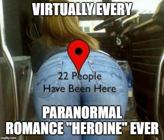 If sleeping around makes you a hero... the world's full of them! | VIRTUALLY EVERY; PARANORMAL ROMANCE "HEROINE" EVER | image tagged in books | made w/ Imgflip meme maker