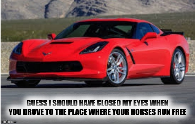 GUESS I SHOULD HAVE CLOSED MY EYES WHEN YOU DROVE TO THE PLACE WHERE YOUR HORSES RUN FREE | image tagged in prince,legendary,music | made w/ Imgflip meme maker