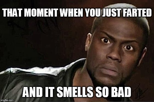 Kevin Fart | THAT MOMENT WHEN YOU JUST FARTED; AND IT SMELLS SO BAD | image tagged in memes,kevin hart | made w/ Imgflip meme maker