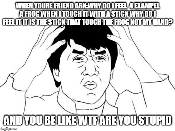 Jackie Chan WTF | WHEN YOURE FRIEND ASK:WHY DO I FEEL  4 EXAMPEL A FROG WHEN I TOUCH IT WITH A STICK WHY DO I FEEL IT IT IS THE STICK THAT TOUCH THE FROG NOT MY HAND? AND YOU BE LIKE WTF ARE YOU STUPID | image tagged in memes,jackie chan wtf | made w/ Imgflip meme maker