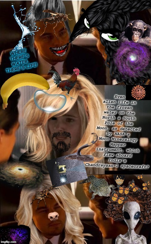 Water! | image tagged in water | made w/ Imgflip meme maker