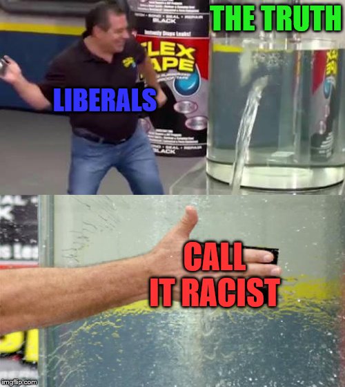 That pesky truth is leaking out again! | THE TRUTH; LIBERALS; CALL IT RACIST | image tagged in flex tape,you can't handle the truth,political meme,memes,liberals | made w/ Imgflip meme maker