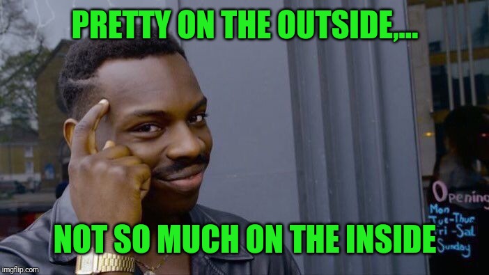 Roll Safe Think About It Meme | PRETTY ON THE OUTSIDE,... NOT SO MUCH ON THE INSIDE | image tagged in memes,roll safe think about it | made w/ Imgflip meme maker