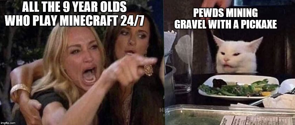 pewds playing mc | ALL THE 9 YEAR OLDS WHO PLAY MINECRAFT 24/7; PEWDS MINING GRAVEL WITH A PICKAXE | image tagged in woman yelling at cat | made w/ Imgflip meme maker