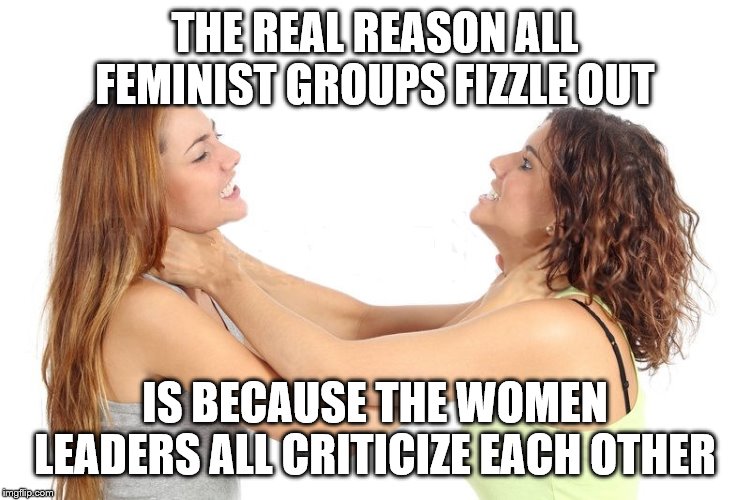 women fighting | THE REAL REASON ALL FEMINIST GROUPS FIZZLE OUT IS BECAUSE THE WOMEN LEADERS ALL CRITICIZE EACH OTHER | image tagged in women fighting | made w/ Imgflip meme maker