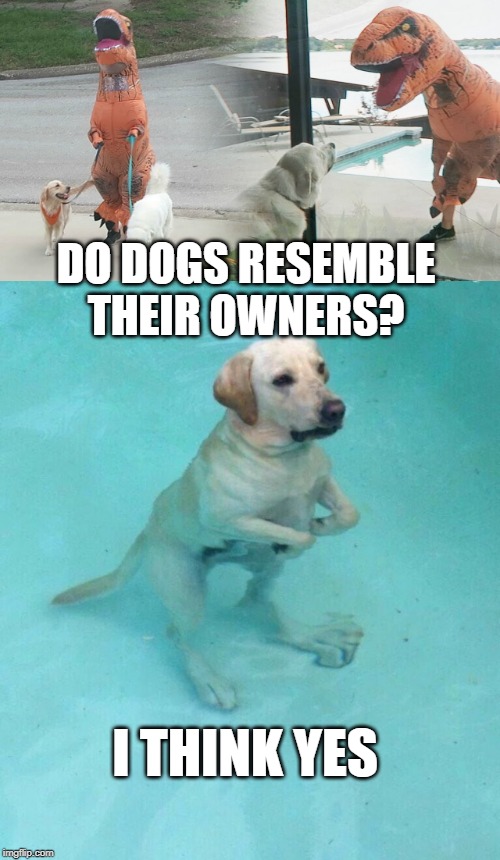 Similarity | DO DOGS RESEMBLE THEIR OWNERS? I THINK YES | image tagged in everybody feared the t-rex,memes,funny,t-rex,dogs | made w/ Imgflip meme maker