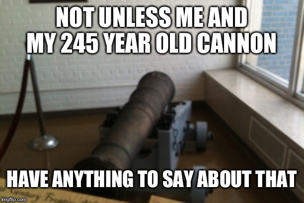 Cannons | NOT UNLESS ME AND MY 245 YEAR OLD CANNON HAVE ANYTHING TO SAY ABOUT THAT | image tagged in cannons | made w/ Imgflip meme maker