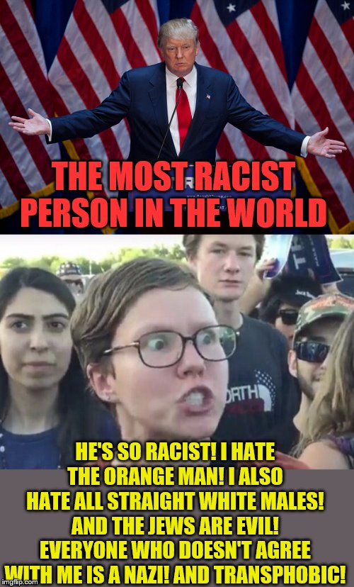 THE MOST RACIST PERSON IN THE WORLD HE'S SO RACIST! I HATE THE ORANGE MAN! I ALSO HATE ALL STRAIGHT WHITE MALES! AND THE JEWS ARE EVIL! EVER | image tagged in donald trump,triggered feminist | made w/ Imgflip meme maker