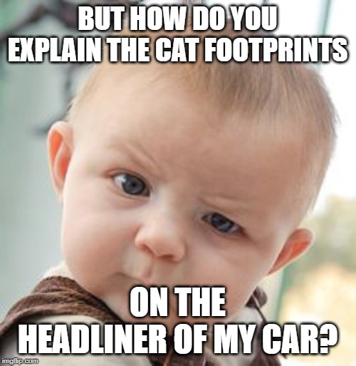 Skeptical Baby Meme | BUT HOW DO YOU EXPLAIN THE CAT FOOTPRINTS ON THE HEADLINER OF MY CAR? | image tagged in memes,skeptical baby | made w/ Imgflip meme maker