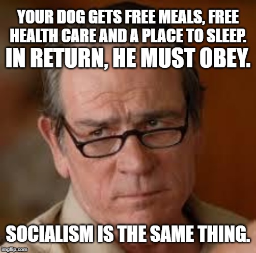 my face when someone asks a stupid question | YOUR DOG GETS FREE MEALS, FREE HEALTH CARE AND A PLACE TO SLEEP. IN RETURN, HE MUST OBEY. SOCIALISM IS THE SAME THING. | image tagged in my face when someone asks a stupid question | made w/ Imgflip meme maker