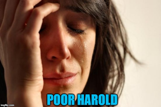 First World Problems Meme | POOR HAROLD | image tagged in memes,first world problems | made w/ Imgflip meme maker