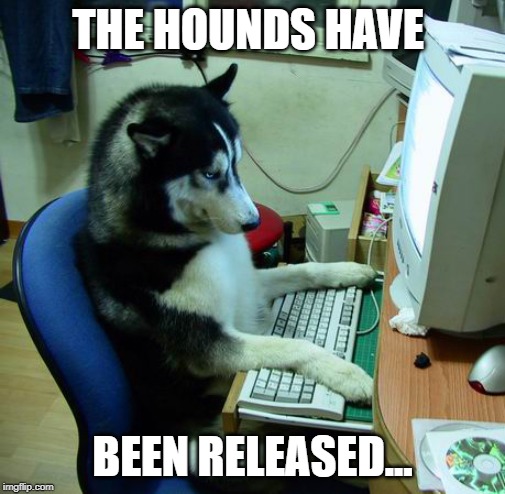 I Have No Idea What I Am Doing | THE HOUNDS HAVE; BEEN RELEASED... | image tagged in memes,i have no idea what i am doing | made w/ Imgflip meme maker