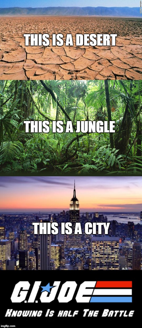 THIS IS A DESERT THIS IS A CITY THIS IS A JUNGLE | image tagged in new york city,desert,jungle,gijoe knowing half the battle | made w/ Imgflip meme maker