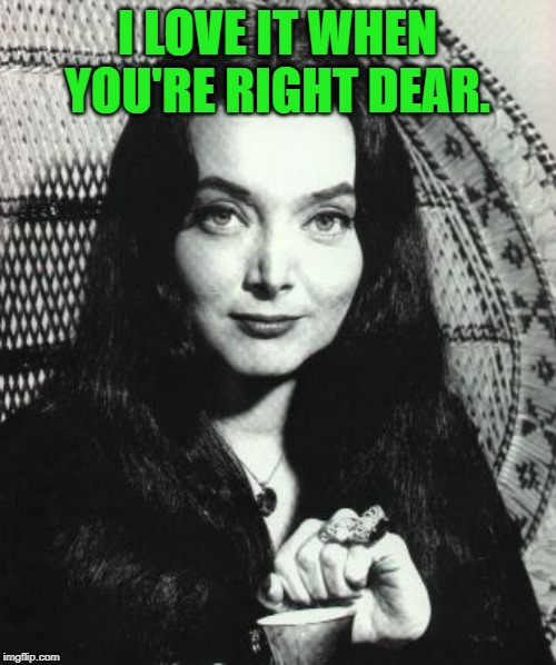 Morticia Addams | I LOVE IT WHEN YOU'RE RIGHT DEAR. | image tagged in morticia addams | made w/ Imgflip meme maker