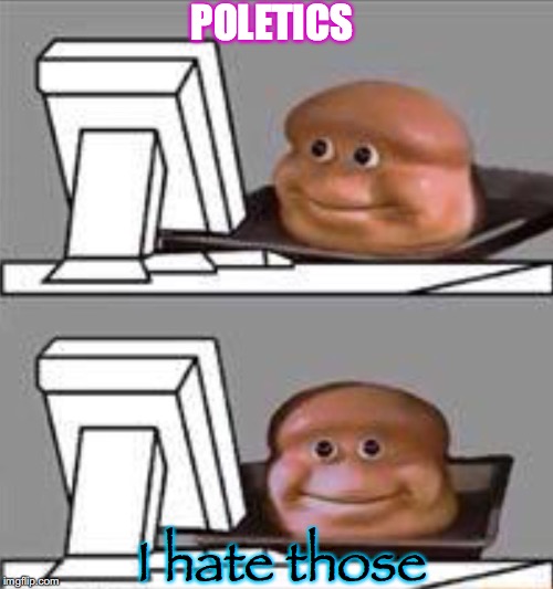 why | POLETICS; I hate those | image tagged in bread computer | made w/ Imgflip meme maker