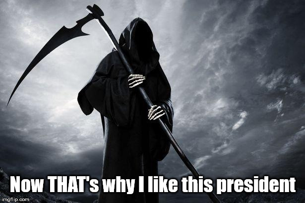 Death | Now THAT's why I like this president | image tagged in death | made w/ Imgflip meme maker