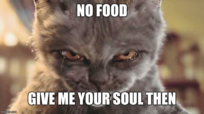 Evil Cat | NO FOOD GIVE ME YOUR SOUL THEN | image tagged in evil cat | made w/ Imgflip meme maker