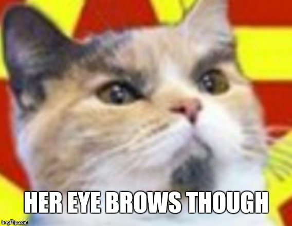 HER EYE BROWS THOUGH | made w/ Imgflip meme maker