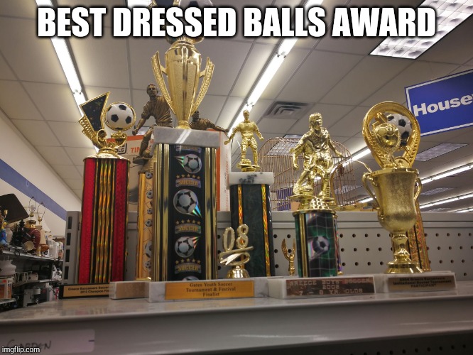 Goodwill Trophies | BEST DRESSED BALLS AWARD | image tagged in goodwill trophies | made w/ Imgflip meme maker