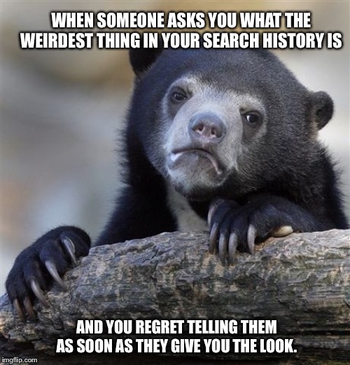 Confession Bear Meme | WHEN SOMEONE ASKS YOU WHAT THE WEIRDEST THING IN YOUR SEARCH HISTORY IS; AND YOU REGRET TELLING THEM AS SOON AS THEY GIVE YOU THE LOOK. | image tagged in memes,confession bear | made w/ Imgflip meme maker