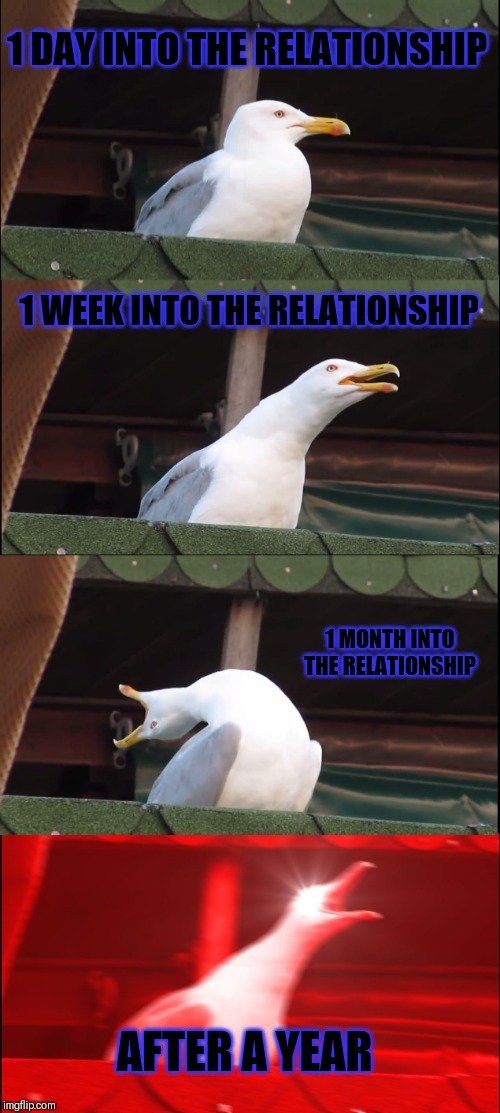 Inhaling Seagull Meme | 1 DAY INTO THE RELATIONSHIP; 1 WEEK INTO THE RELATIONSHIP; 1 MONTH INTO THE RELATIONSHIP; AFTER A YEAR | image tagged in memes,inhaling seagull | made w/ Imgflip meme maker