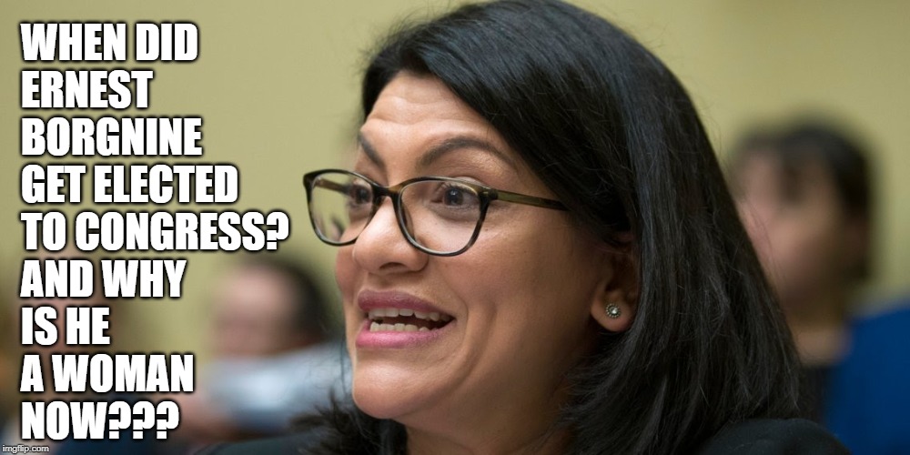 Rashida Tlaib | WHEN DID
ERNEST 
BORGNINE 
GET ELECTED 
TO CONGRESS?
AND WHY 
IS HE 
A WOMAN 
NOW??? | image tagged in rashida tlaib | made w/ Imgflip meme maker