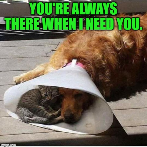 A friend in need | YOU'RE ALWAYS THERE WHEN I NEED YOU. | image tagged in a friend in need | made w/ Imgflip meme maker