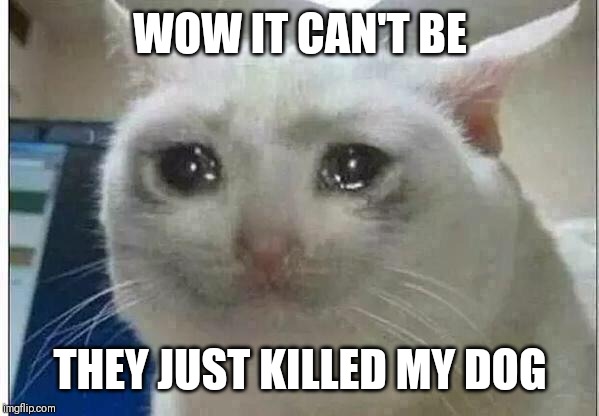 crying cat | WOW IT CAN'T BE; THEY JUST KILLED MY DOG | image tagged in crying cat | made w/ Imgflip meme maker