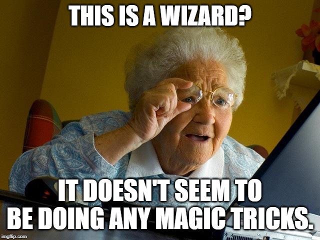 Grandma Magically Finds The Internet | THIS IS A WIZARD? IT DOESN'T SEEM TO BE DOING ANY MAGIC TRICKS. | image tagged in memes,grandma finds the internet | made w/ Imgflip meme maker