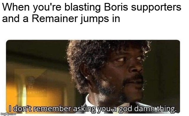 Boris | When you're blasting Boris supporters and a Remainer jumps in | image tagged in boris johnson,boris,uk,brexit | made w/ Imgflip meme maker
