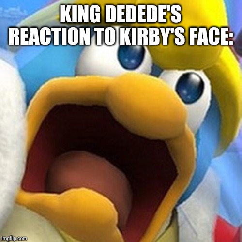 King Dedede oh shit face | KING DEDEDE'S REACTION TO KIRBY'S FACE: | image tagged in king dedede oh shit face | made w/ Imgflip meme maker