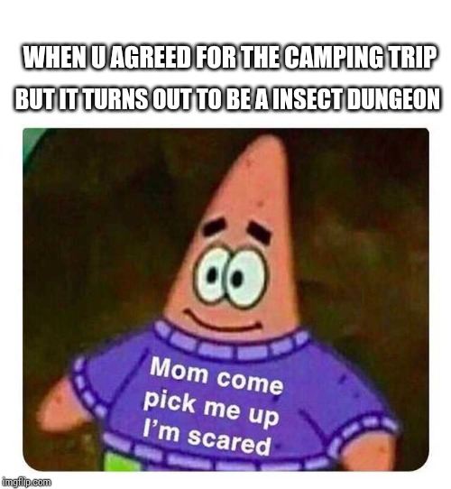 Patrick Mom come pick me up I'm scared | WHEN U AGREED FOR THE CAMPING TRIP; BUT IT TURNS OUT TO BE A INSECT DUNGEON | image tagged in patrick mom come pick me up i'm scared | made w/ Imgflip meme maker