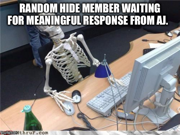 Skeleton Computer | RANDOM HIDE MEMBER WAITING FOR MEANINGFUL RESPONSE FROM AJ. | image tagged in skeleton computer | made w/ Imgflip meme maker