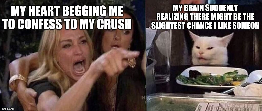 woman yelling at cat | MY BRAIN SUDDENLY REALIZING THERE MIGHT BE THE SLIGHTEST CHANCE I LIKE SOMEON; MY HEART BEGGING ME TO CONFESS TO MY CRUSH | image tagged in woman yelling at cat | made w/ Imgflip meme maker