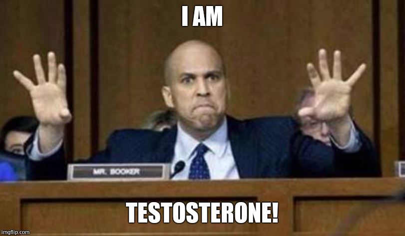 LOL! You won't punch Trump and everyone knows you're gayer than John Travolta | I AM; TESTOSTERONE! | image tagged in cory booker democrat,feminine,gay pride,knight protecting princess | made w/ Imgflip meme maker