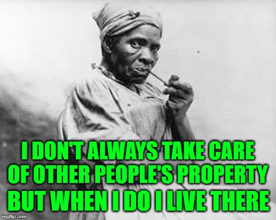 The Most Interesting Slave in the World | I DON'T ALWAYS TAKE CARE OF OTHER PEOPLE'S PROPERTY; BUT WHEN I DO I LIVE THERE | image tagged in slave lady,so true memes,working class,women,wake up,wage slaves | made w/ Imgflip meme maker
