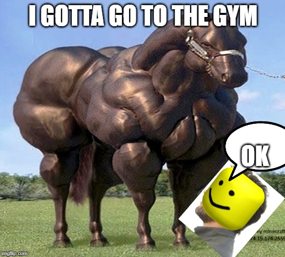 Im a body builder | I GOTTA GO TO THE GYM; OK | image tagged in strong,horse | made w/ Imgflip meme maker