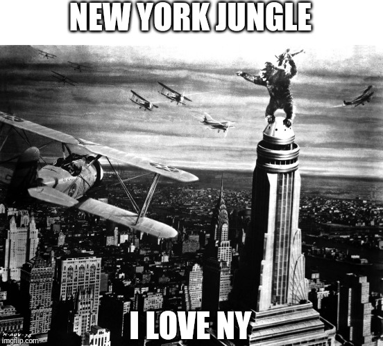 king kong | NEW YORK JUNGLE I LOVE NY | image tagged in king kong | made w/ Imgflip meme maker