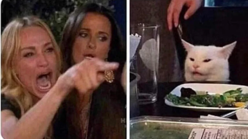 High Quality Confused Cat at Dinner Blank Meme Template