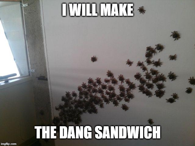 I WILL MAKE; THE DANG SANDWICH | made w/ Imgflip meme maker