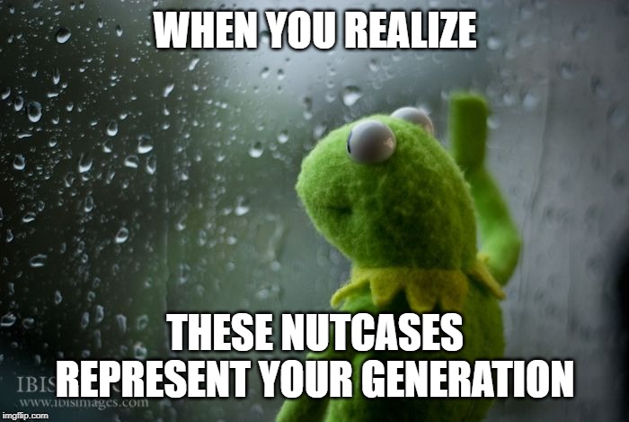 kermit window | WHEN YOU REALIZE THESE NUTCASES REPRESENT YOUR GENERATION | image tagged in kermit window | made w/ Imgflip meme maker