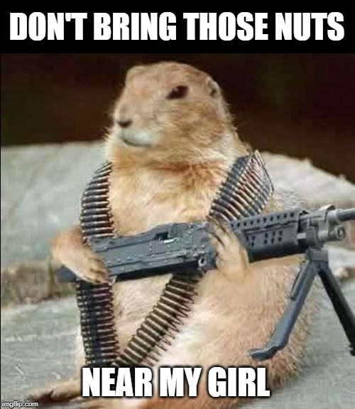 mean squirel | DON'T BRING THOSE NUTS NEAR MY GIRL | image tagged in mean squirel | made w/ Imgflip meme maker