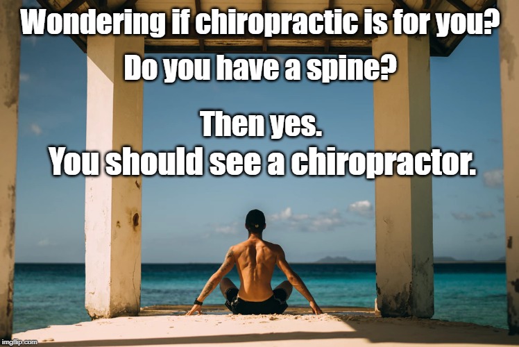 Do you have a spine? | Wondering if chiropractic is for you? Do you have a spine? Then yes. You should see a chiropractor. | image tagged in do you have a spine | made w/ Imgflip meme maker