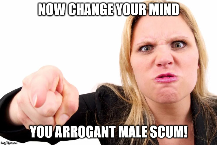 Offended woman | NOW CHANGE YOUR MIND YOU ARROGANT MALE SCUM! | image tagged in offended woman | made w/ Imgflip meme maker