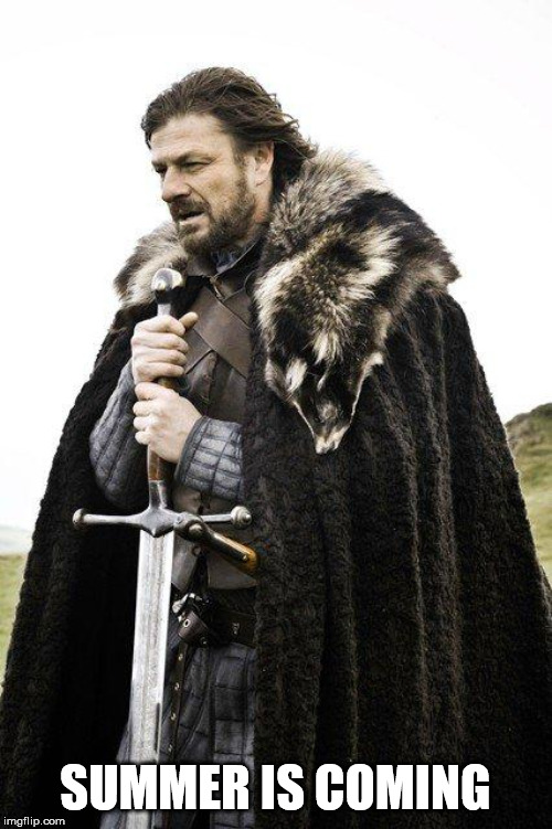 Brace Yourself | SUMMER IS COMING | image tagged in brace yourself | made w/ Imgflip meme maker