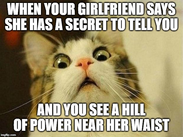 Scared Cat Meme | WHEN YOUR GIRLFRIEND SAYS SHE HAS A SECRET TO TELL YOU; AND YOU SEE A HILL OF POWER NEAR HER WAIST | image tagged in memes,scared cat | made w/ Imgflip meme maker