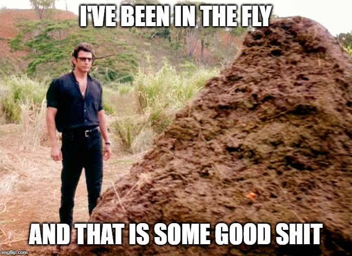 Memes, Poop, Jurassic Park | I'VE BEEN IN THE FLY AND THAT IS SOME GOOD SHIT | image tagged in memes poop jurassic park | made w/ Imgflip meme maker
