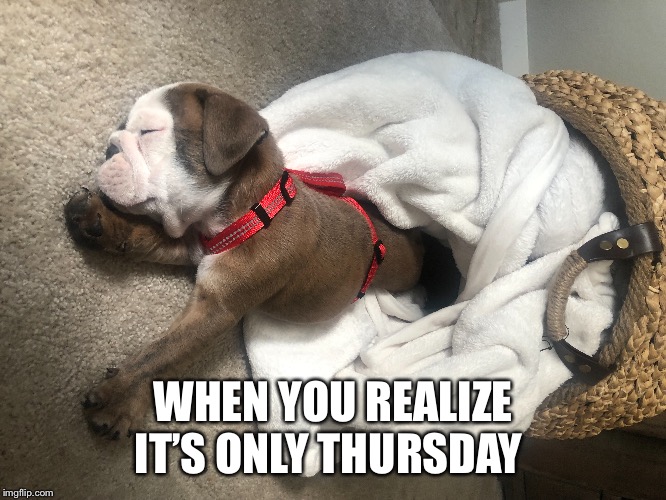 WHEN YOU REALIZE IT’S ONLY THURSDAY | image tagged in thursday | made w/ Imgflip meme maker
